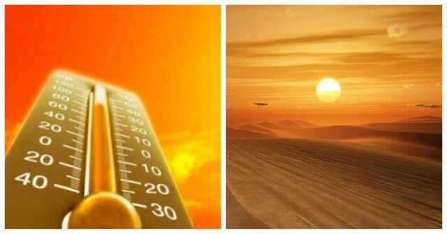 2023 год может стать самым жарким в истории наблюдений