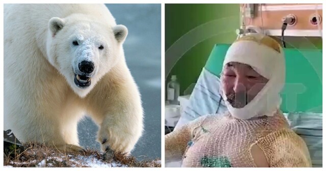 Житель Ямала вступил в схватку с белым медведем и победил