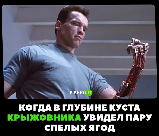 От улыбки лопнула щека