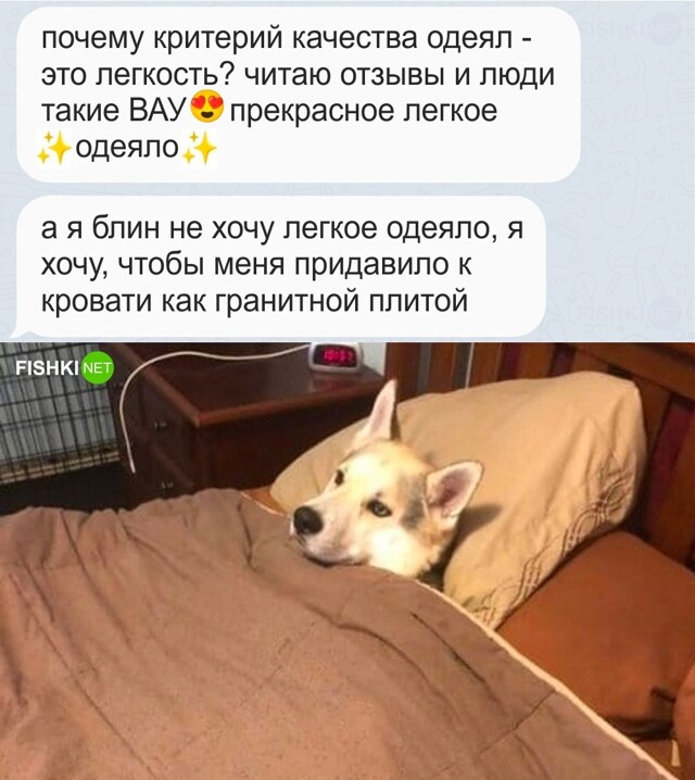 Картинка дня 25-07-2023