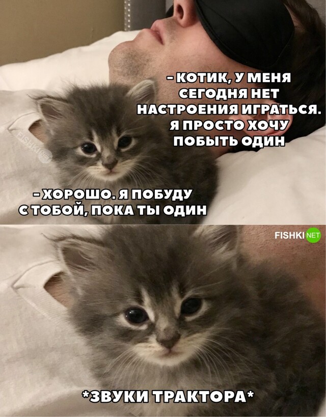 Картинка дня 05-08-2023