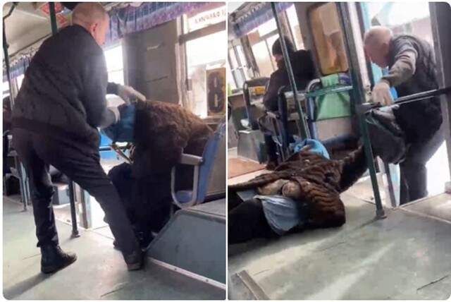 В Хабаровском крае водитель автобуса вышвырнул из салона бабушку из-за неприятного запаха