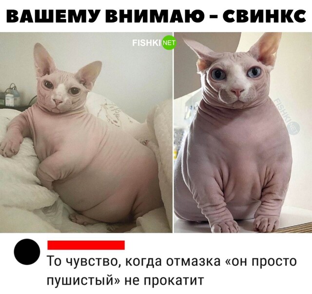 Единственный и неповторимый