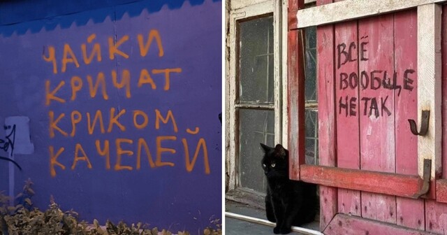 Очаровательный вандализм: 14 забавных надписей, которые люди внезапно обнаружили прямо на улицах