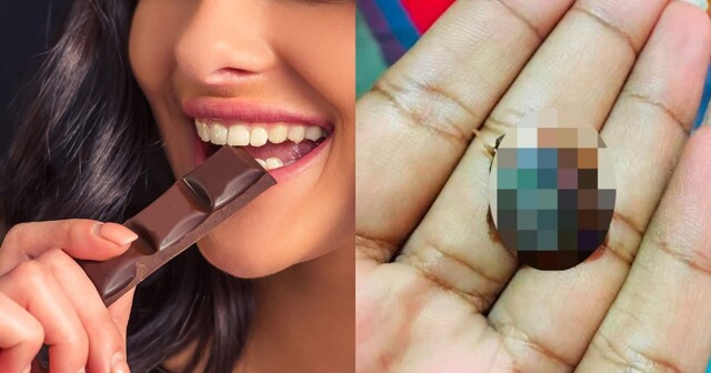 Bon Appétit: на Шри-Ланке девушка чуть не стала каннибалом, съев кусок шоколада