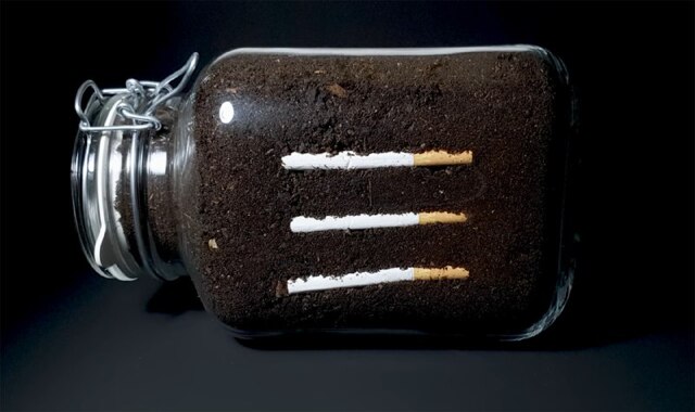 Фотограф из США показал, что происходит с сигаретами в почве