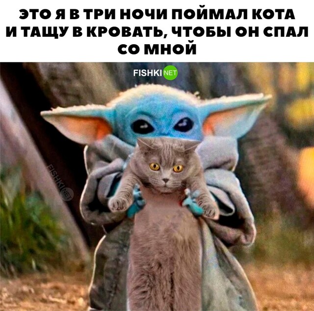 Картинка дня 18-08-2023