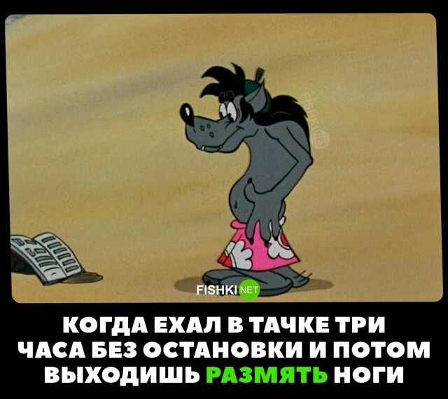 Картинка дня 19-08-2023