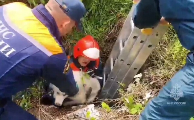 Спасатели достали собаку из заброшенного погреба