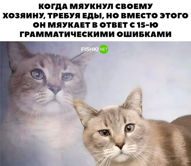 Скрины из соцсетей 