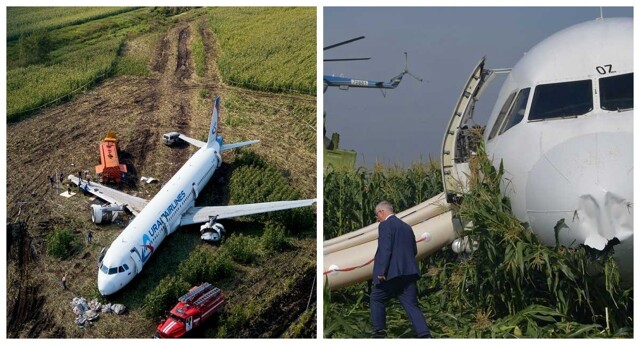 Что стало с экипажем пассажирского самолёта, посадившим лайнер на кукурузном поле в Подмосковье