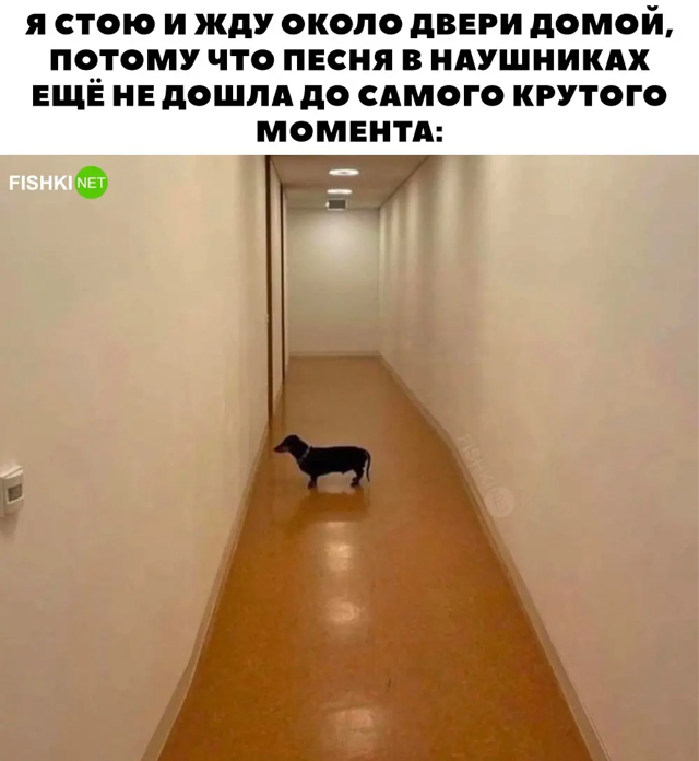 Всё вразнобой 