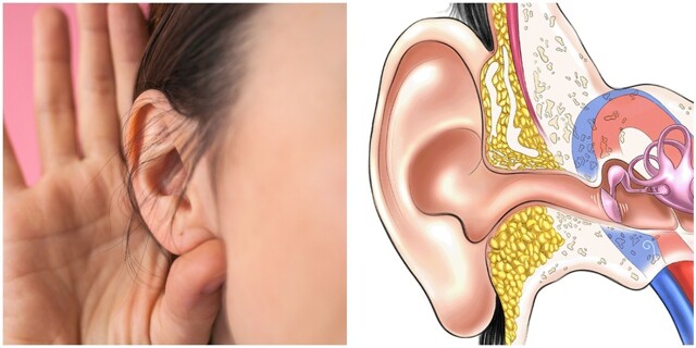 10 фактов об ушной сере, которые удивляют
