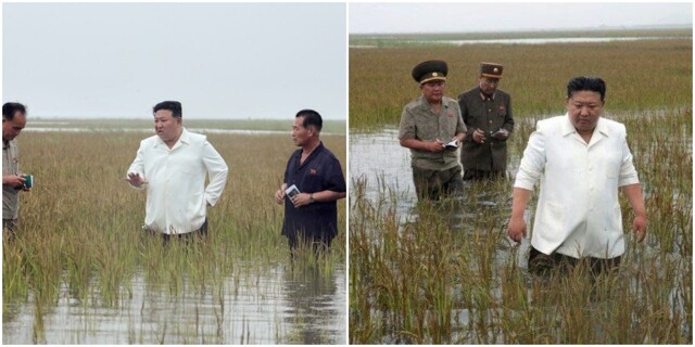 "Виноваты бездельники, а не стихия!": Ким Чен Ын загнал чиновников на затопленные рисовые поля и сам намочил штаны