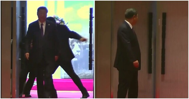 Охрана саммита БРИКС по ошибке скрутила помощника Си Цзиньпина