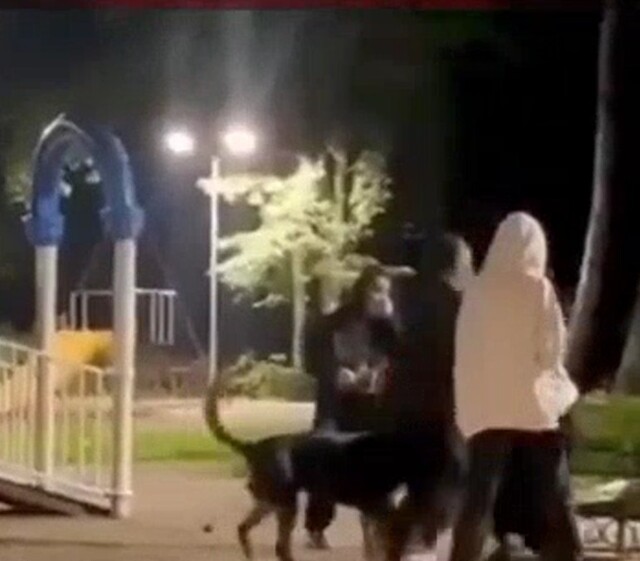 Кадры из Котельников - мусульманке в хиджабе устроила драку на детской площадке