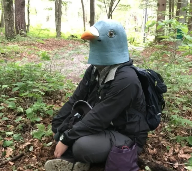 Японский орнитолог целый год ходил в лес в огромной маске птицы, чтобы выучить птичий язык