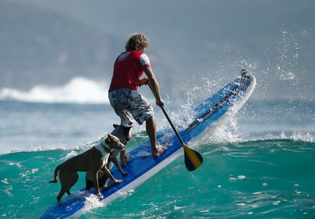 На общую тему 