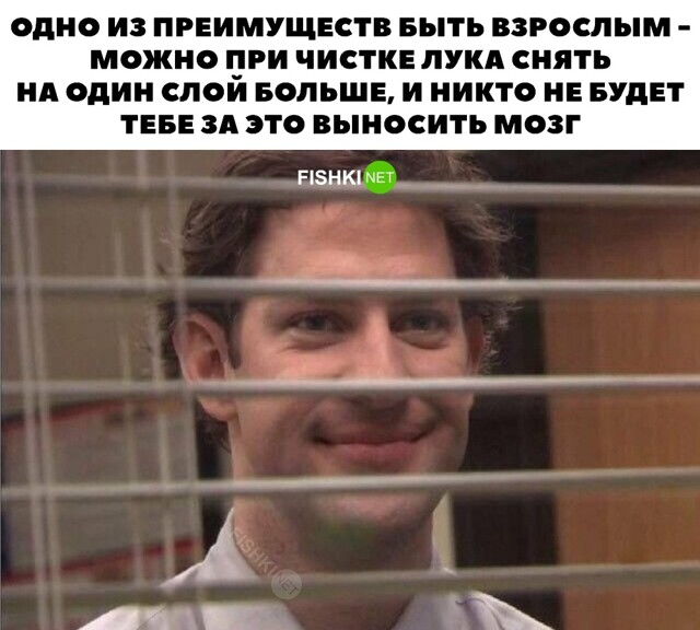 Картинка дня 04-09-2023