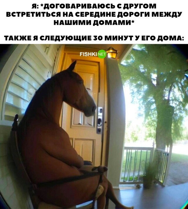 Скрины из соцсетей 