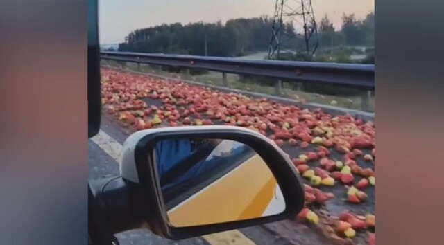 «Можно лечо даже сделать»:  дорогу засыпало болгарским перцем