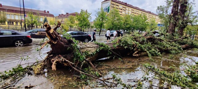 Строительный кран рухнул на человека во время мощного шторма в Грозном