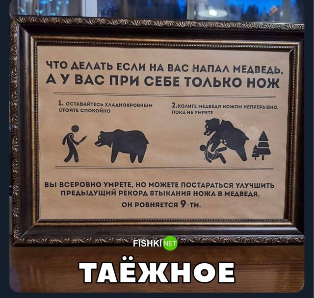 Картинка дня 08-09-2023