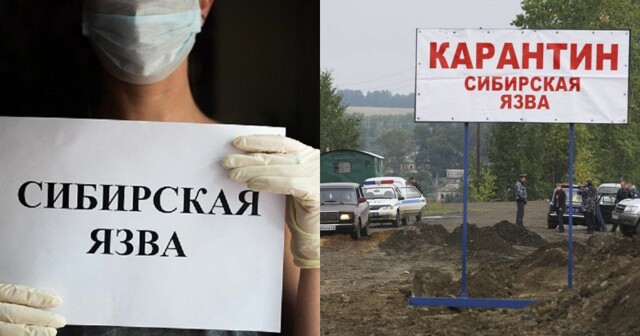 В Воронежской области семь человек госпитализированы с подозрением на сибирскую язву