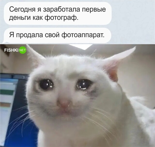 Скрины из соцсетей 