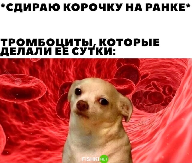 Картинка дня 14-09-2023