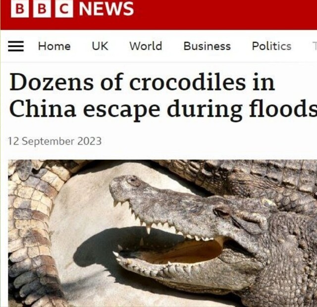 Во время наводнения в Китае сбежали 75 крокодилов