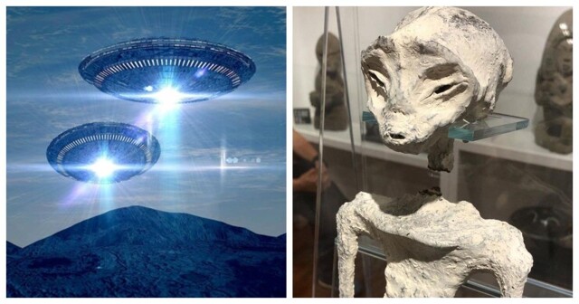 Один из участников экспедиции, которая нашла «инопланетян», опубликовал новые фото «внеземных существ»
