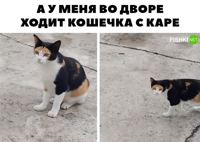 Картинка дня 15-09-2023