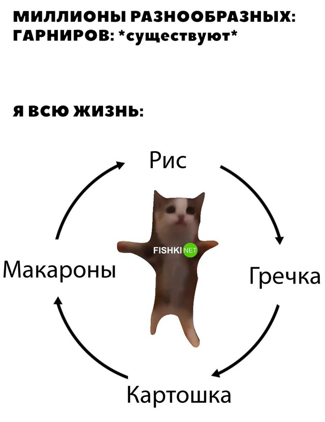 Картинка дня 20-09-2023