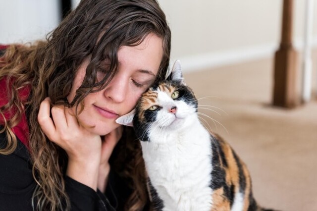Без кота и жизнь не та: 3 медицинских аргумента в пользу котиков в доме