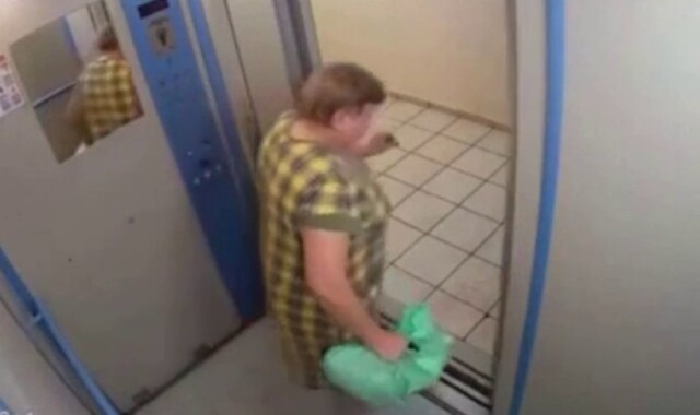 Женщина завернула кота в целлофан и спустила на лифте, потому что устала «убирать за ним