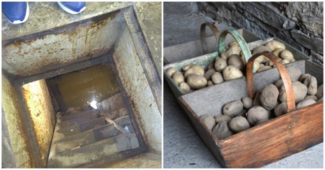 В Приморье двое мужчин насмерть отравились испарениями гниющей картошки