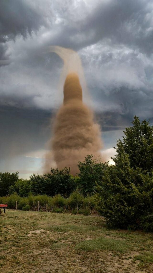 Намешалось