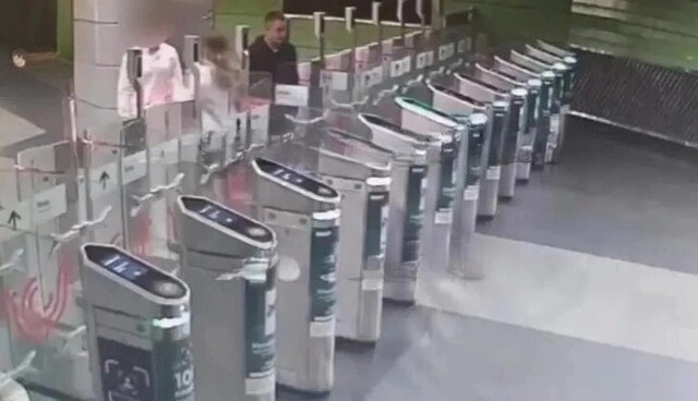 Московский "заяц" разбил стеклянную створку в метро