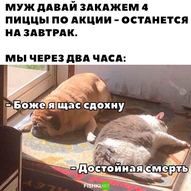 Скрины из соцсетей 