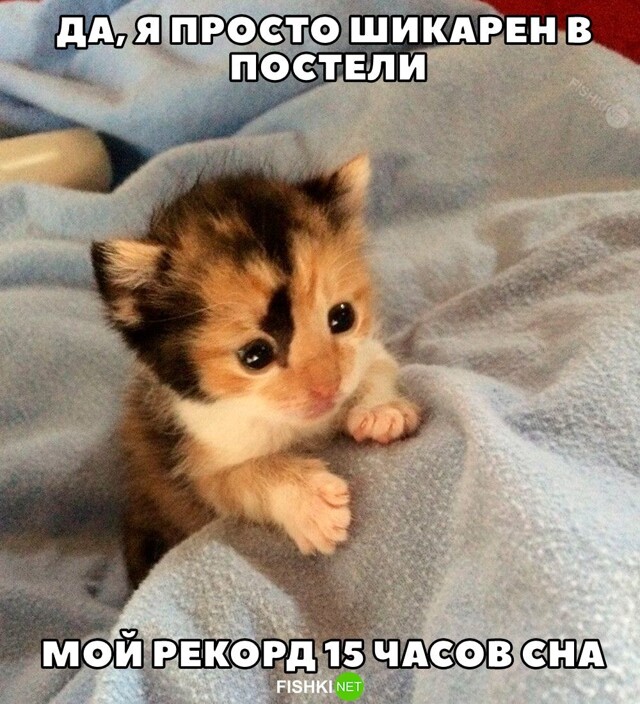 Картинка дня 13-10-2023