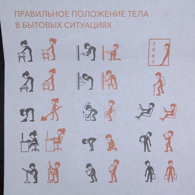 полезно для спины