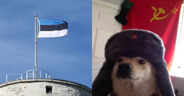 Эстонские пограничники оштрафовали мужчину за шапку с гербом СССР