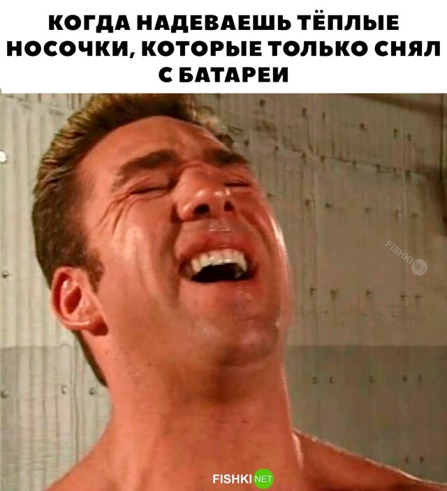 Картинка дня 01-11-2023