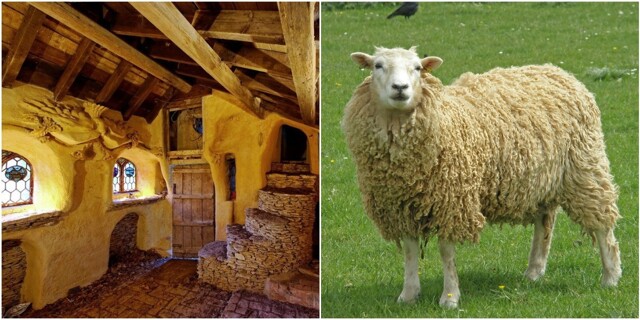 Английский фермер 11 лет строил замок для своих овец