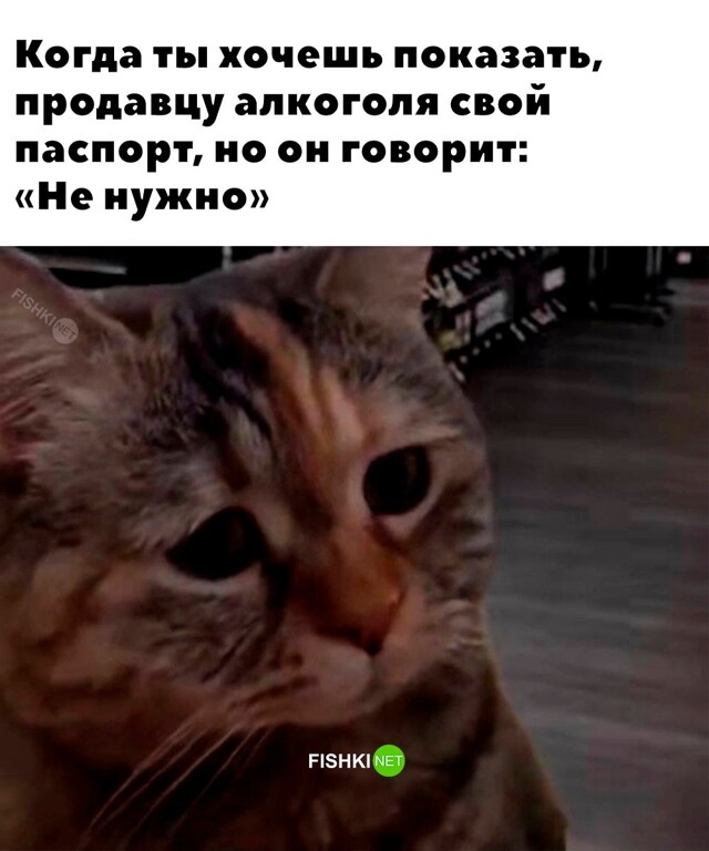 Картинка дня 03-11-2023