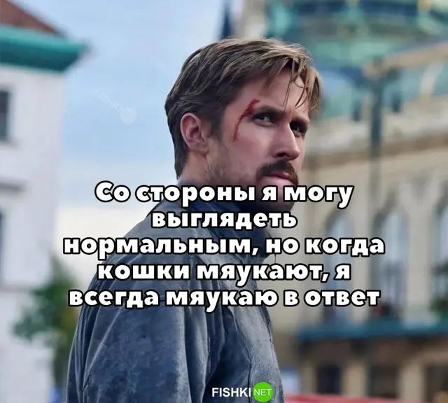 mem3.png.jpeg.webp