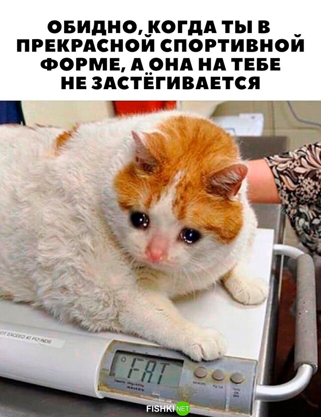 Картинка дня 11-11-2023
