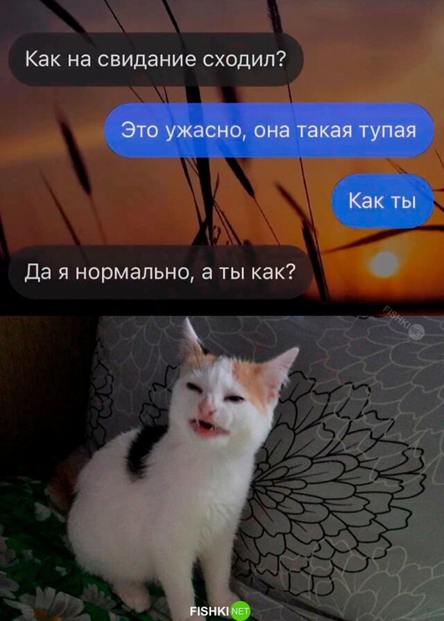 Картинка дня 15-11-2023