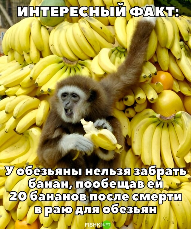 Картинка дня 17-11-2023